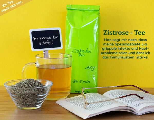 Zistrose (Griechisches Glückskraut) / Cistus / Cystus