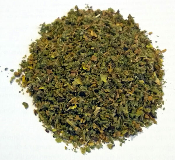 Zistrose (Griechisches Glückskraut) / Cistus / Cystus – Bild 3